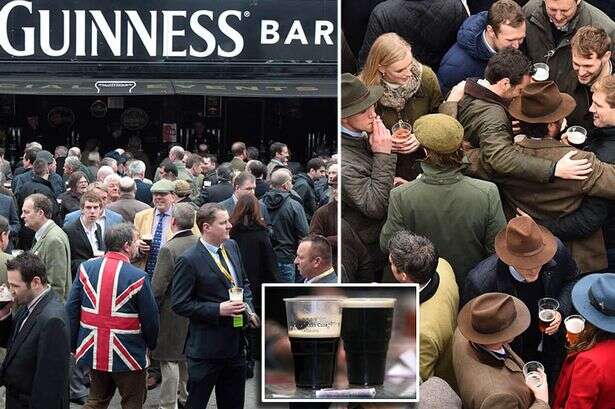 Cheltenham Festival punters set for £10 pints of Guinness after price freeze