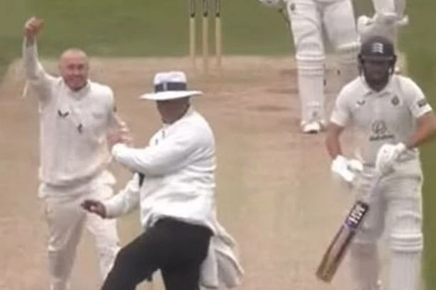 Americans discover cricket sportsmanship for the first time and the questions are incredible