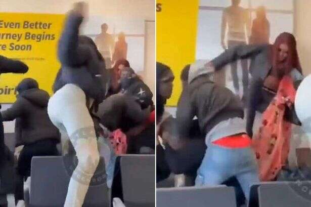 Wild airport brawl sees woman unleash series of 'Braveheart' kicks in viral footage