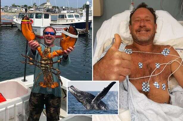 What happens when you get swallowed by whale as man says 'everything went black'