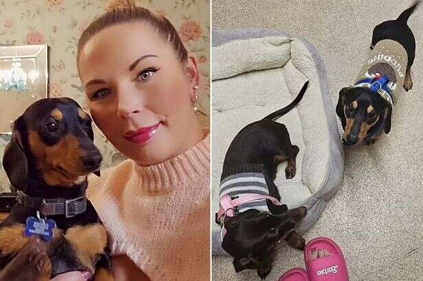 Mum eaten by her sausage dogs pictured as neighbour claims one dog was 'vicious'