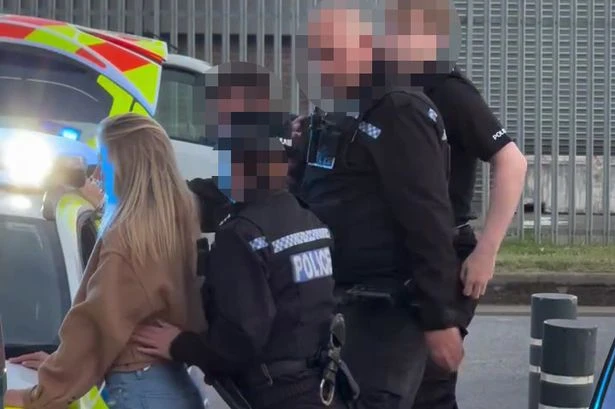 Bonnie Blue 'arrested' as fans demand 'free her' and admit they're 'jealous' of cops