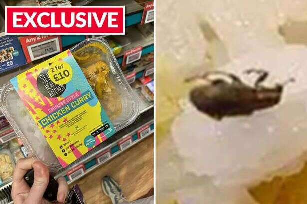 Teacher disgusted to find 'beetle' wriggling around luxury £5.50 ready meal