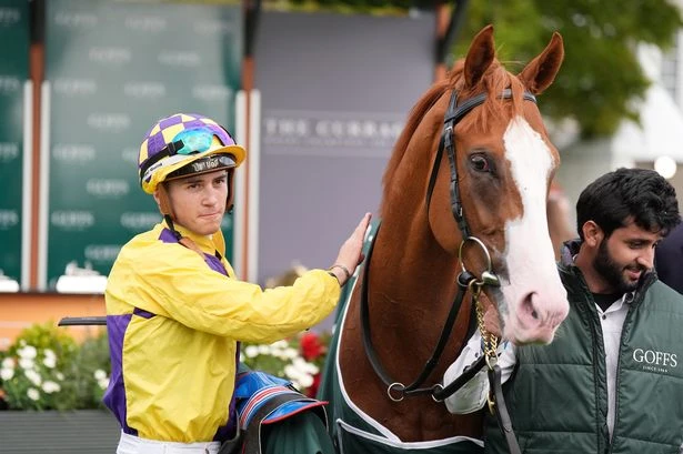 'I fancy 8-1 shot to upset the favourites in the 2,000 Guineas'