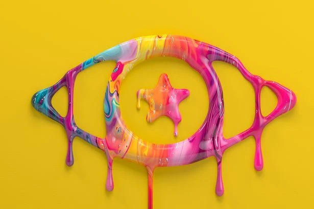 Celebrity Big Brother star sentenced after admitting groping woman at horror event