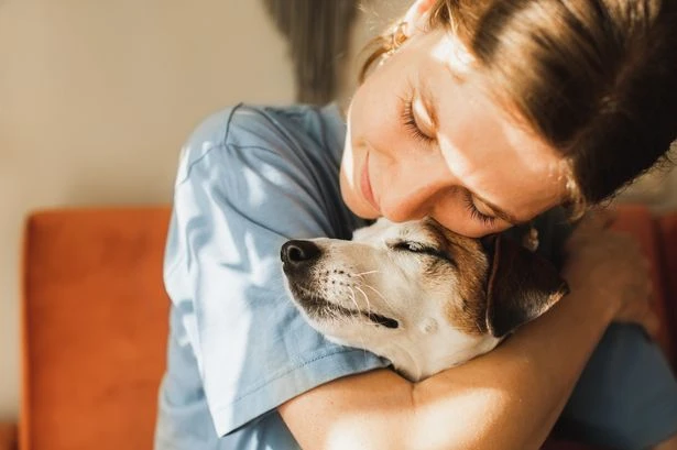 'Britain's most devoted dogs' support owners through chemo, injury and disease