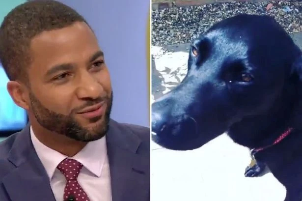 GMB's Sean Fletcher left 'crying and crying' as beloved pet dog dies