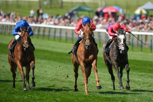 'She has the stand-out form' – All Friday's racing tips