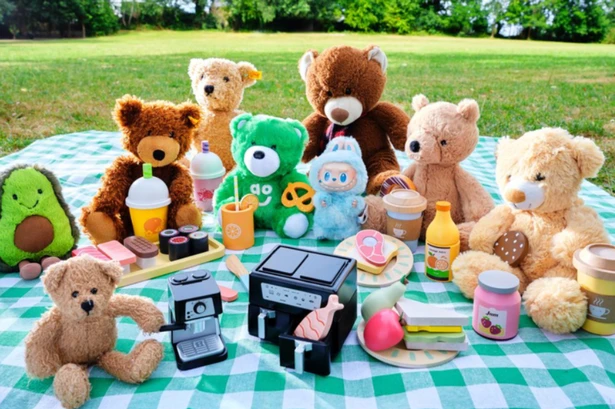 Kids aren't the only people who like a 'Teddy Bears Picnics' - Gen Z are into them too