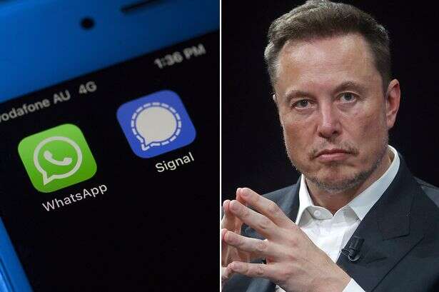 US federal staff stop using WhatsApp or email over fears Musk is spying on them