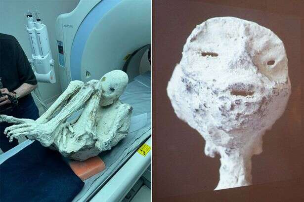 'Alien mummies' from Peru set to investigated by the US to 'put the facts straight'