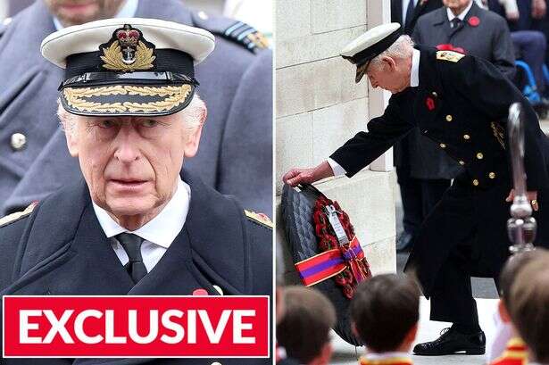 King Charles 'shows sadness and calm' as he lays Remembrance Day wreath