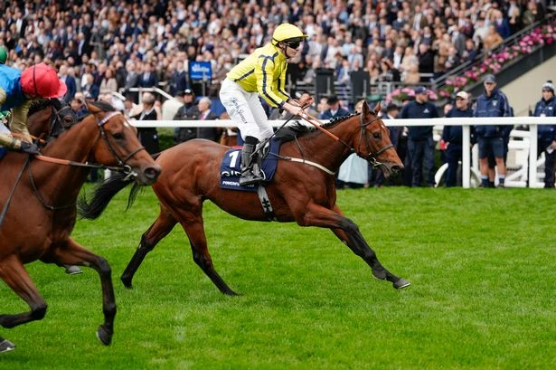 Bookies left reeling as 20,300/1 double at Ascot see punters net huge windfall