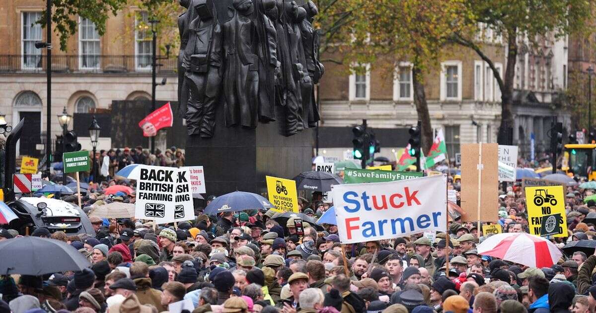 Farmers threaten 'direct action' with major strikes as anger over family farm tax mounts