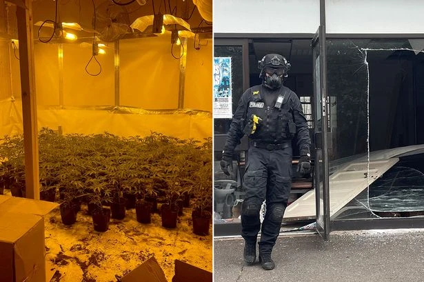 Top cop calls for cannabis crackdown as the smell is 'sometimes enough'