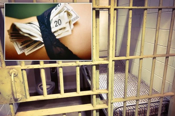 Brazen lag smuggles 'sex worker' into prison in jaw-dropping security breach