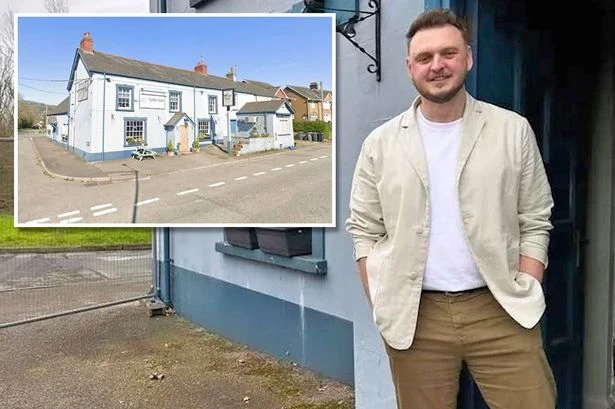 Restaurant 'crippled' by hygiene score as owner denies deliberately hiding it with plants