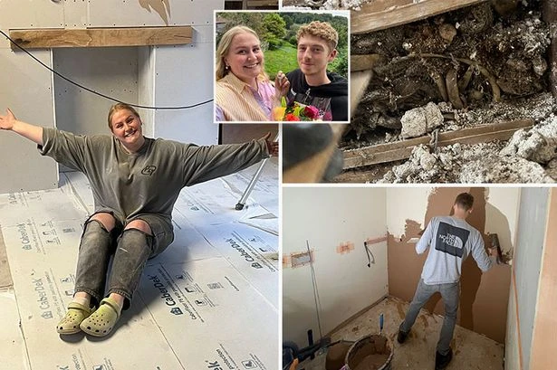 Couple find bones, teeth and carcass' inside wall of Victorian home they just purchased