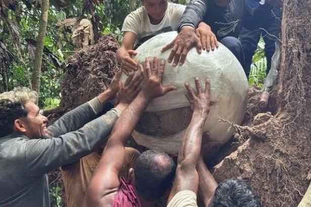 History could be re-written as urns filled with human bones found under Amazon tree