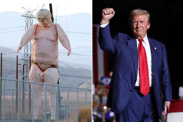 Trump haters want 43ft nude statue of him burned as the effigy at Burning Man 2025