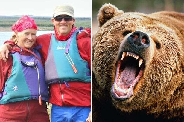 Couple who sent chilling message while being eaten alive by bear made fatal mistake