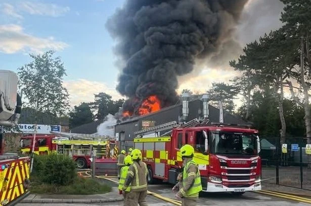 Horror fire rips through children's soft play centre and mini zoo killing all animals