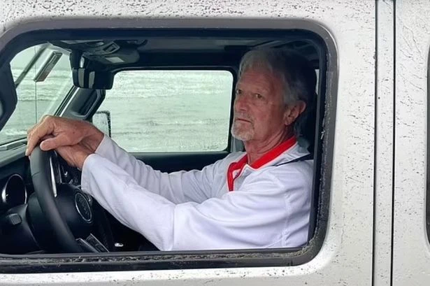 Seagull 'mass murderer' jailed after mowing down 25 birds with his car