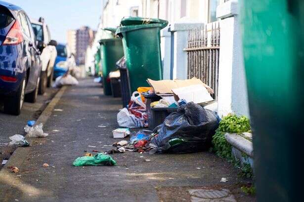 Thousands of Brits face rat nightmare as they wait 28 days for bin collection