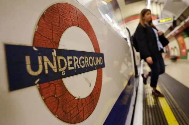 Shock number of sex toys found on public transport - and how many were returned to owner