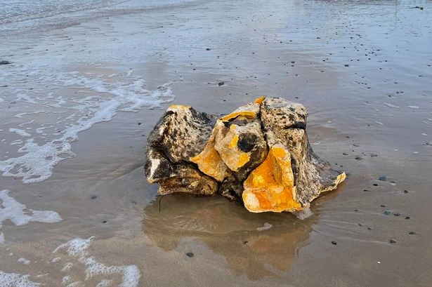 Dangerous toxic blobs wash up on UK shorelines as certain group warned to stay away