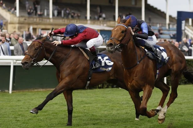 Jason Heavey expert horse racing tips for Thursday, June 26 – 'he comes here fresh'