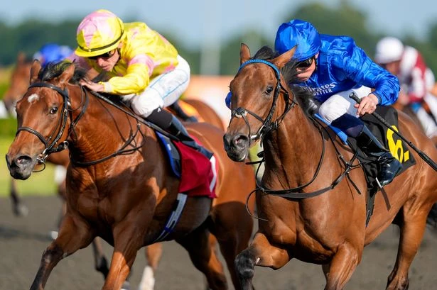 'He was once touted as a Derby horse' – Jason Heavey's Monday tips