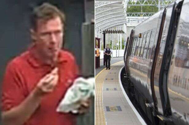 Creep grabbed baby off mum as she stepped off train in 'attempted abduction'