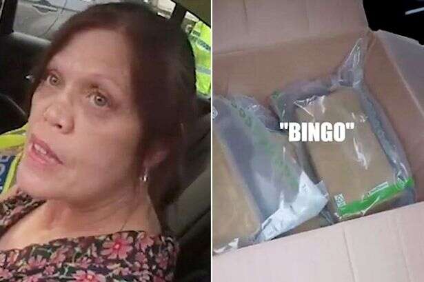 Cop shouts 'Bingo' after finding massive £750k cocaine stash in middle-aged woman's car