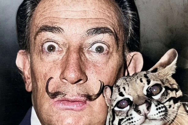 Celebrity owners attacked by wacky pets – including cobras, chimp and ocelot