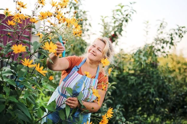 Women over 40 embrace new hobbies during menopause, study reveals
