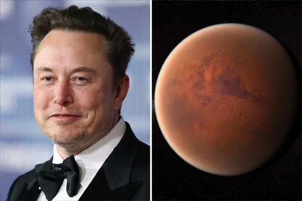 Elon Musk says mankind must move to Mars because the Earth will be incinerated