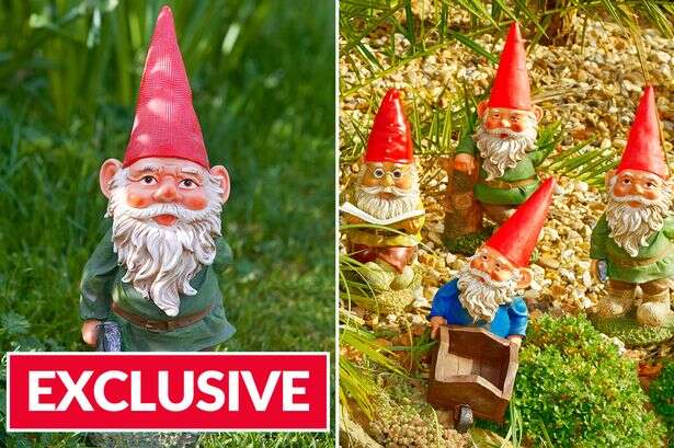 Garden gnome lovers urged by cops to set up cameras after wild new crime trend