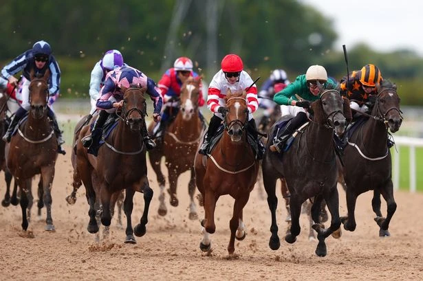 'She can bounce out and make all the running' – Jason Heavey's racing tips