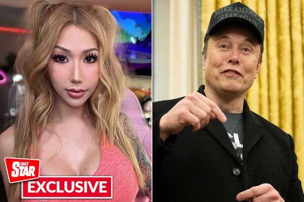 'World's hottest gamer' says Elon Musk is a 'fraud' as she throws down challenge