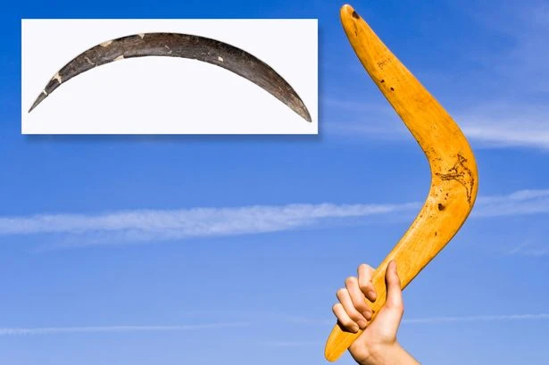Boffins discover world's oldest boomerang in cave – and it's not in Australia