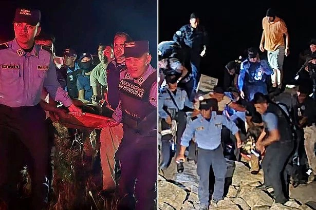 Music star among seven dead as plane crashes minutes after taking off