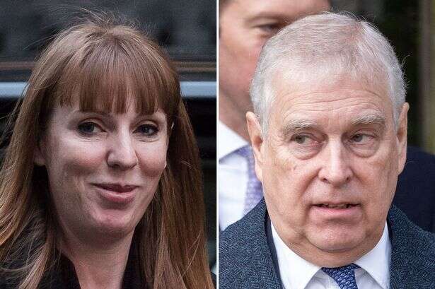 Angela Rayner called Prince Andrew a 'nonce' – but what does it mean?