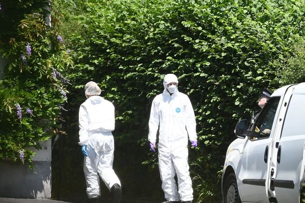 Neighbours describe moment Ann Widdecombe suspect arrested by armed cops