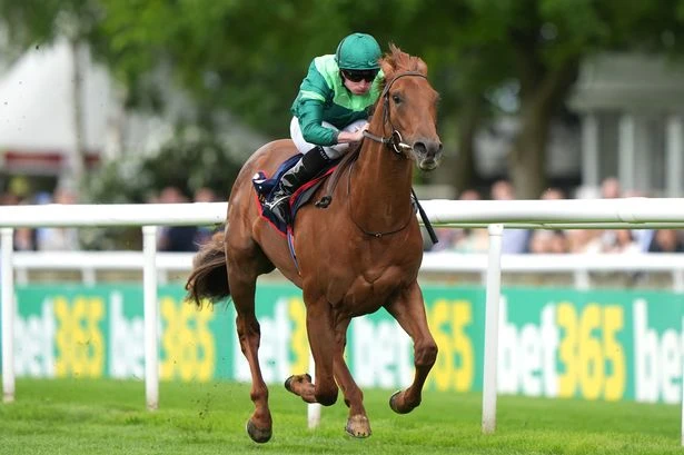 'He was so unlucky at Royal Ascot' – Jason Heavey's Saturday tips for the July Cup and five other meetings