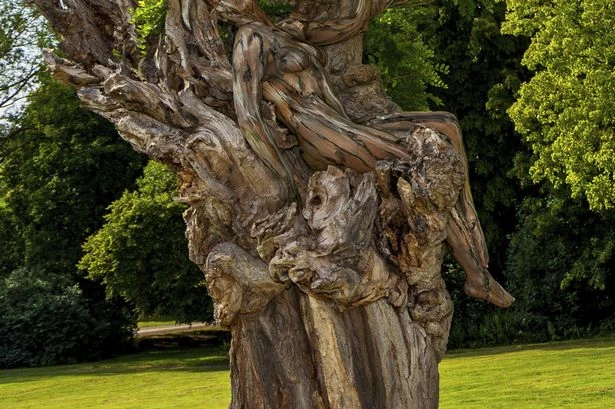 Naked woman hiding in trees leaves visitors to park baffled as locals rage