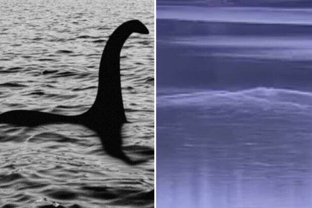 Loch Ness monster's 'twin' discovered as 'two large' mysterious shapes captured