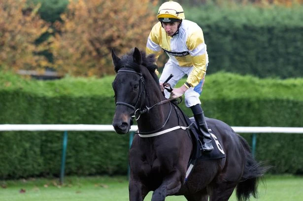 Veteran having 86th race can land the odds – Jason Heavey's Wednesday racing tips