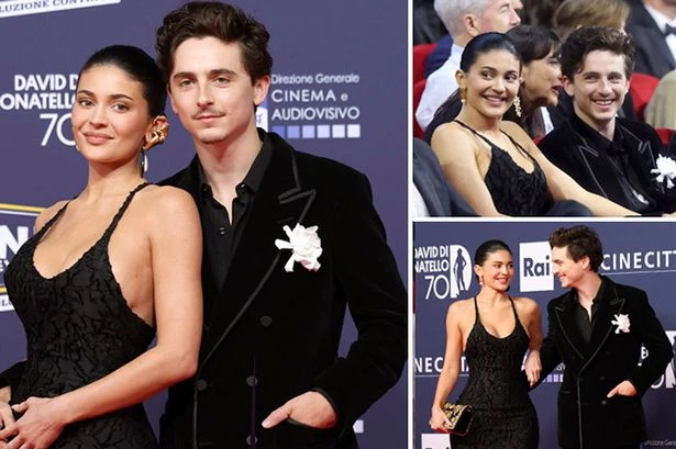 Kylie Jenner and Timothee Chalamet 'try to create romantic vibe' in red carpet debut