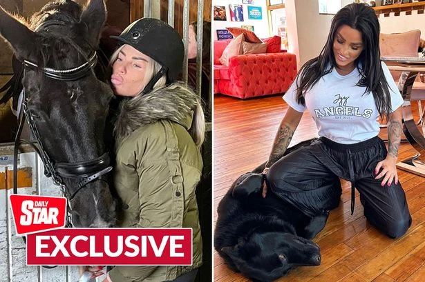 Celebrity pet psychic shares sad truth behind Katie Price's animal history